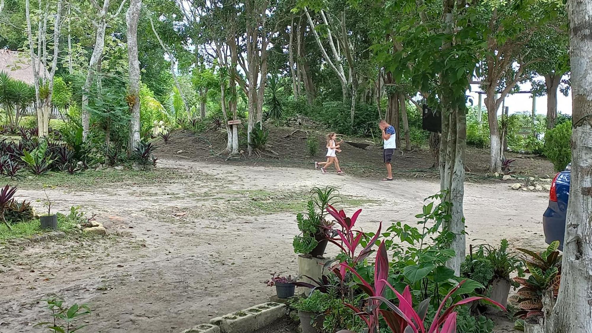 Otoch Beek Calakmul Bed & Breakfast Chicanna Стая снимка